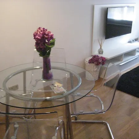 Concha Centro Apartment San Sebastian
