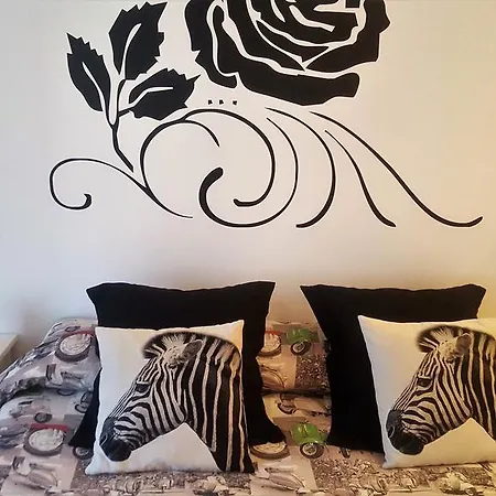 Apartmán Concha Centro *