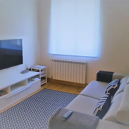 Concha Centro Apartment *